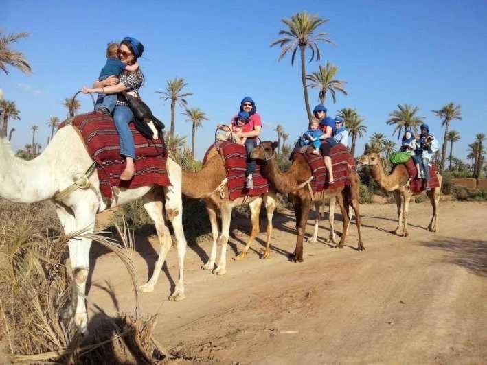 מרקש Tres Beau Riad A Marrakech Avec Piscines מראה חיצוני תמונה
